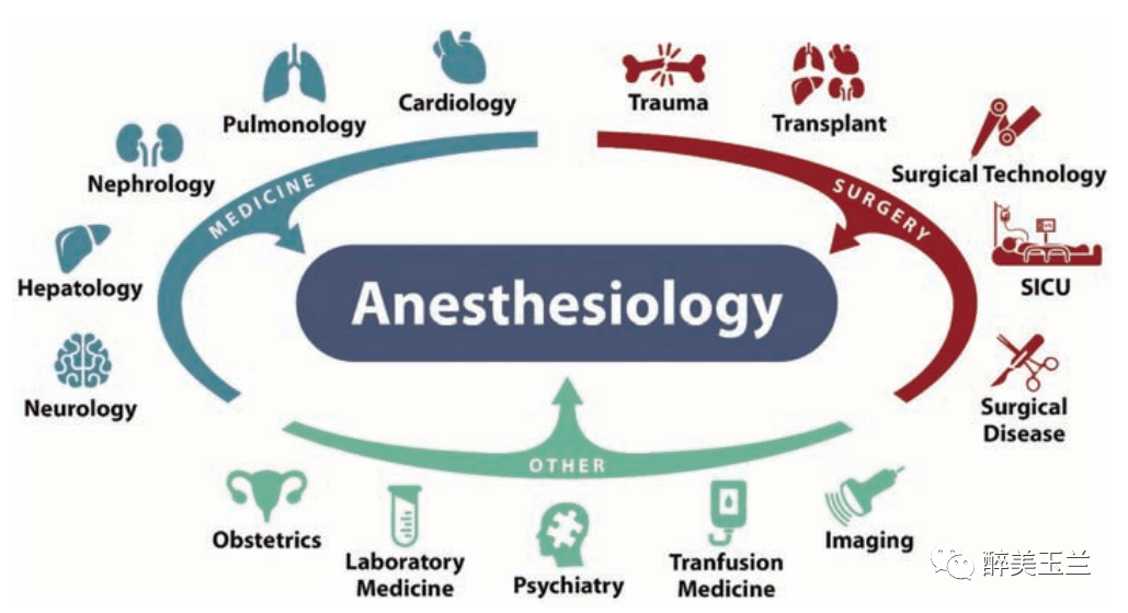 招募令 | 需要内科医生的脑(思维),外科医生的手