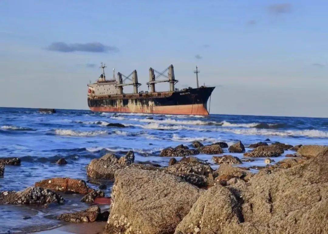 威海春日赏花出行好地_公园_乳山_樱花