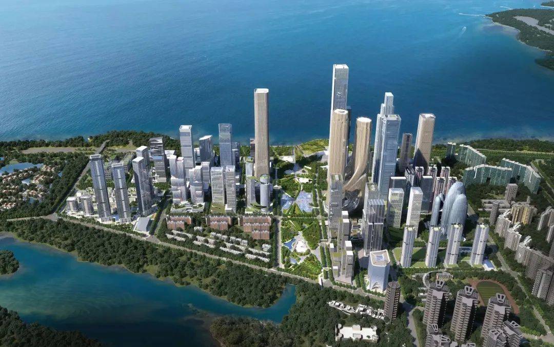 深圳湾超级总部基地竟然留出了"候鸟通道"_片区_建设_鸟类栖息地