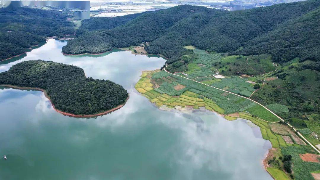 【图说美好新时代】勐海县勐遮镇:五"力" 激活乡村振兴新动能_建设