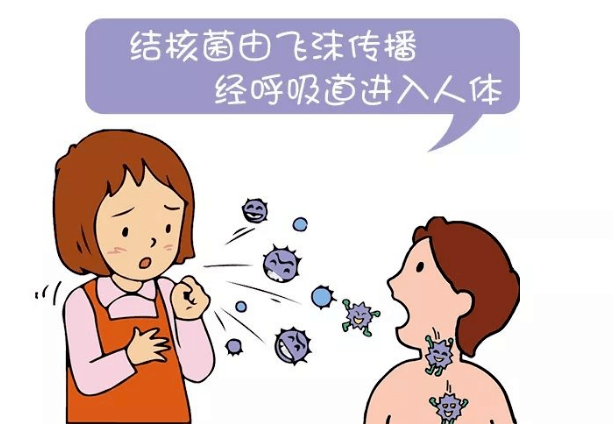 【卫生保健】世界防治结核病日 | 你我共同努力,终结结核流行_治疗