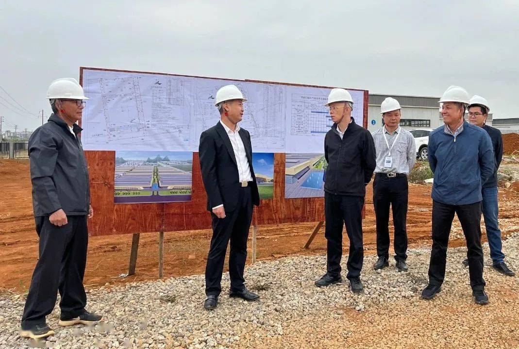 崇左市副市长张海一行莅临书香门地中国木业生态城调研_建设_项目_纪