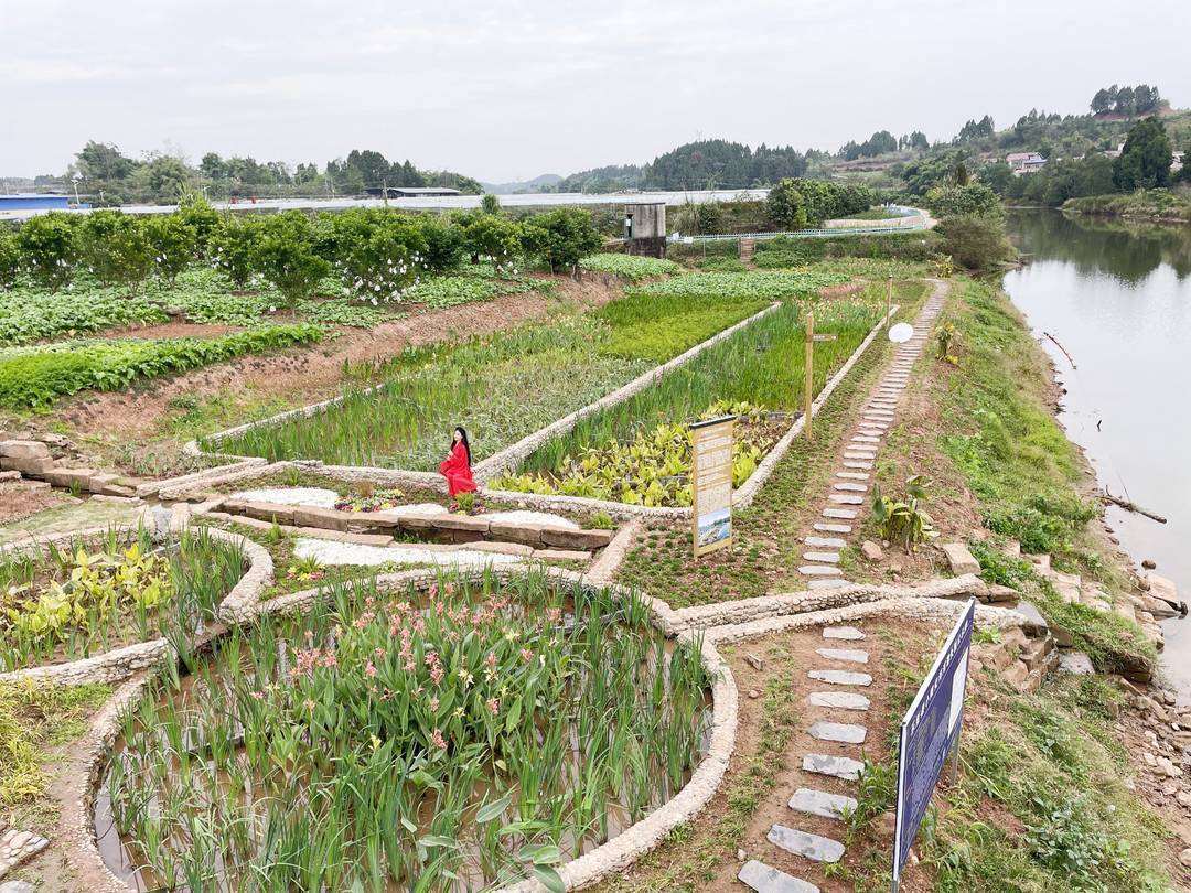 生态沟渠绕田园 四川乐至缺水更护水