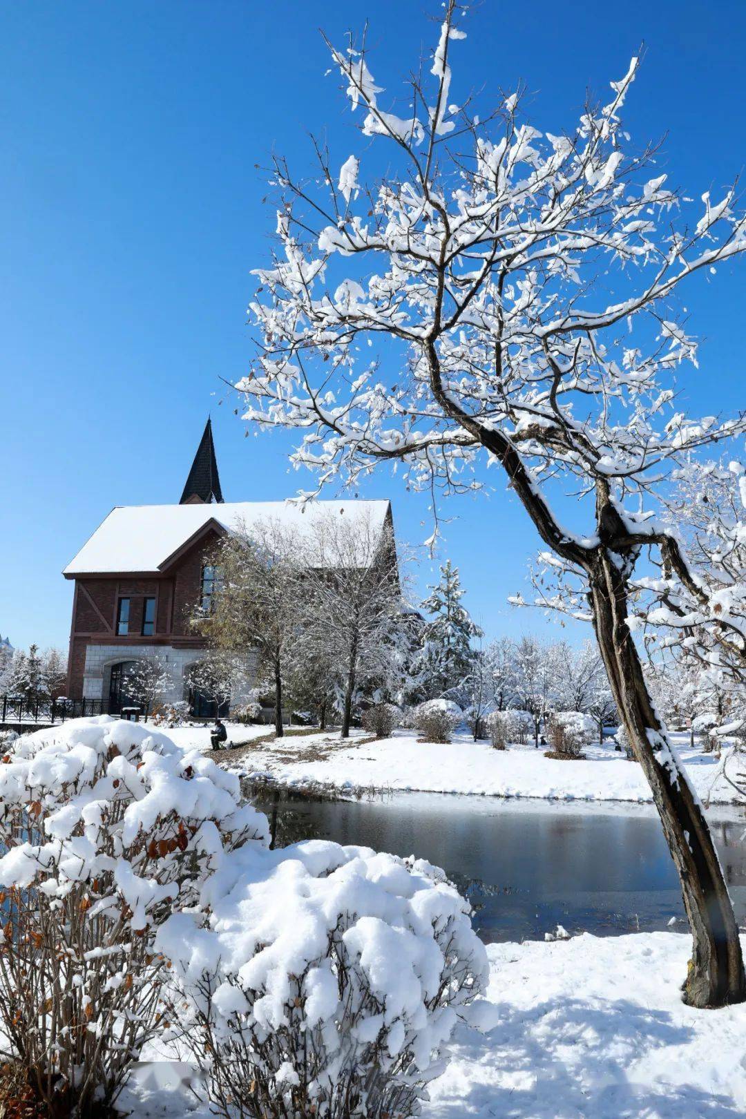 黑龙江伊春市作品(一)
