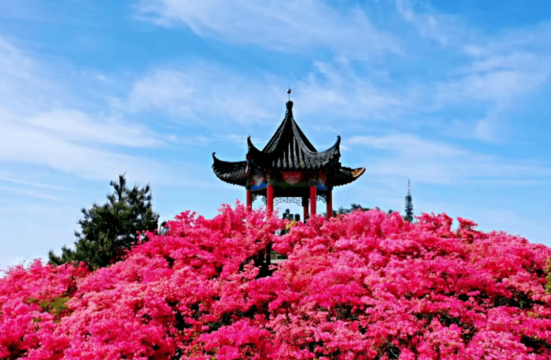 麻城瀑布群风景区门票图片