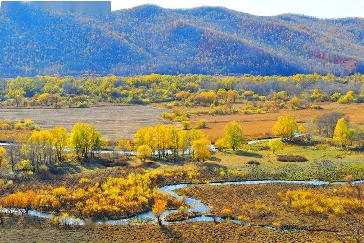 旖旎风光 | 内蒙古呼伦贝尔:四季景色美不胜收_旅游_冰雪_广播