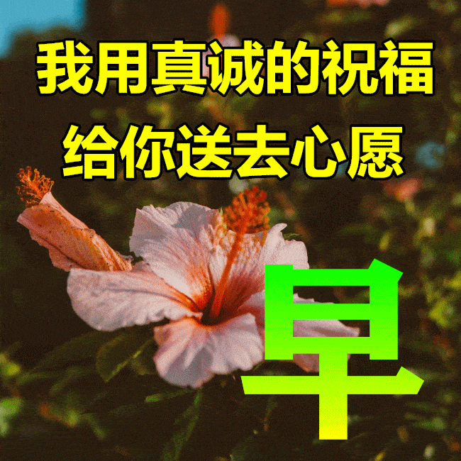 3月29日最漂亮早上好动态表情图片大全,早晨好动图美图大全_祝福_阳光