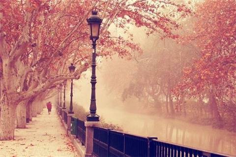 情感关系_人生哲理_表白的英文句子