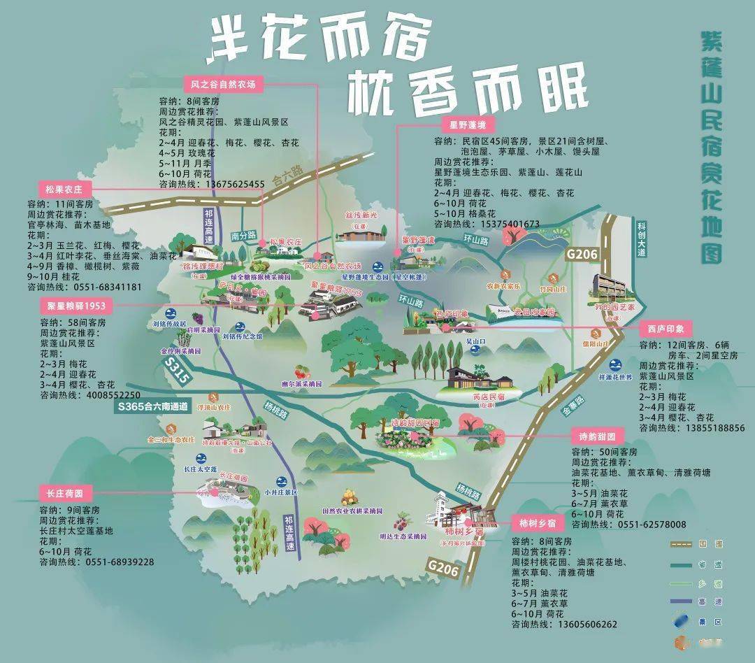 紫蓬山民宿赏花地图