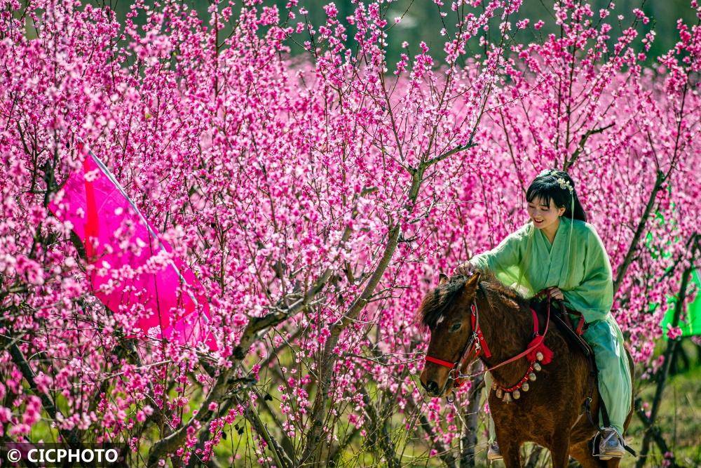 古风映春花