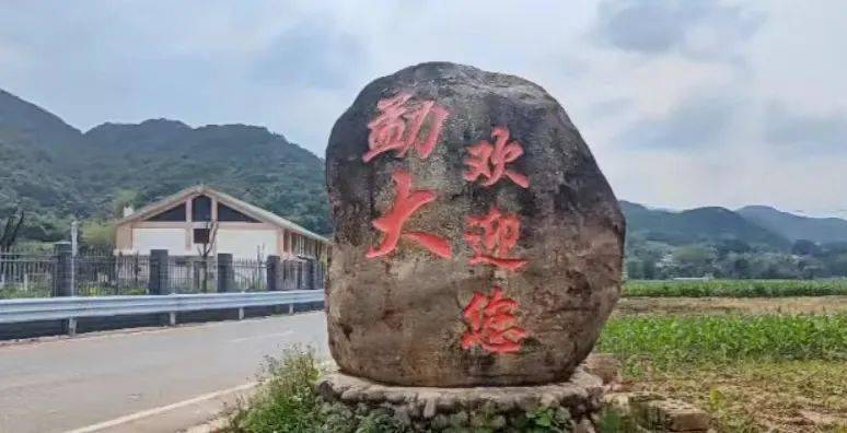 镇沅勐大镇彻底要火了!因为.