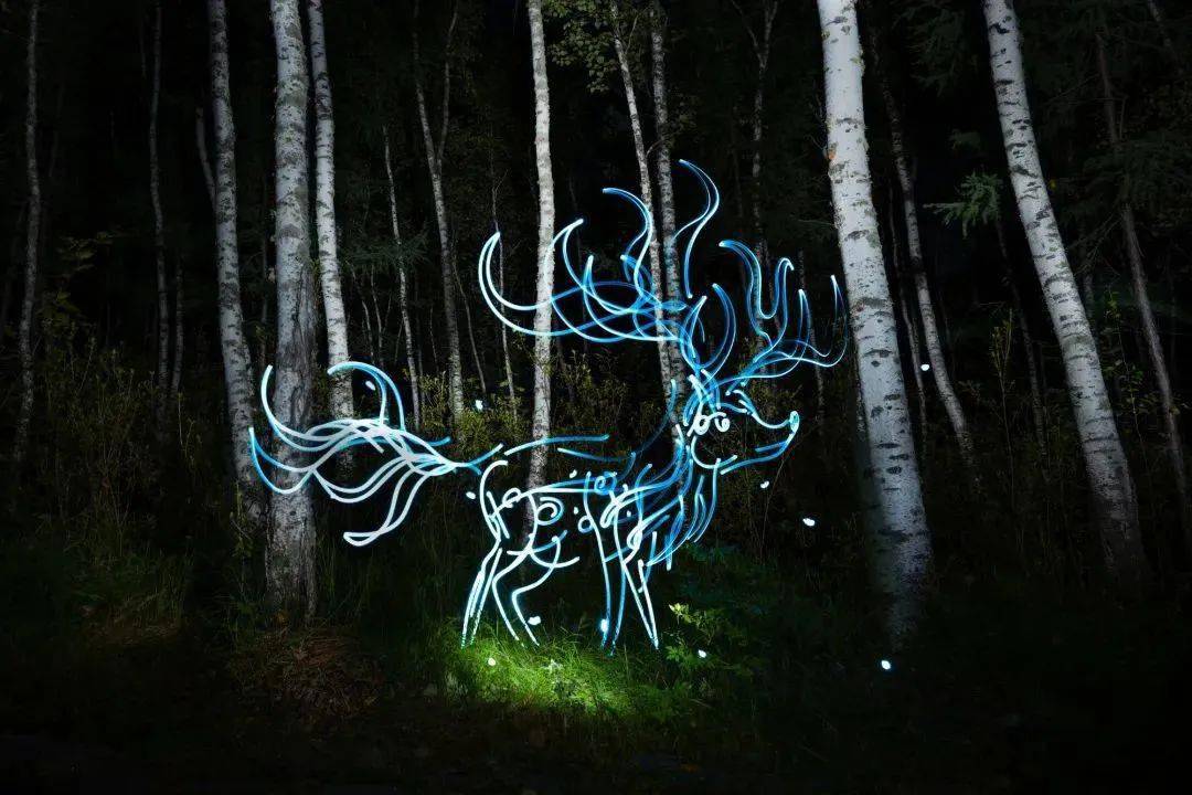 他用"光绘"作品拿到了阿联酋10年黄金签证!_王思博_艺术_中国