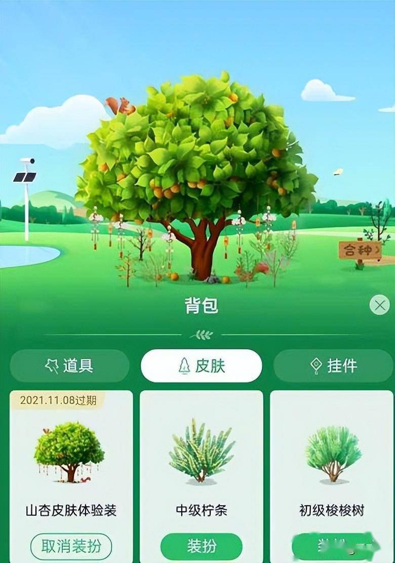 沙漠树（沙漠的树林叫什么） 第2张