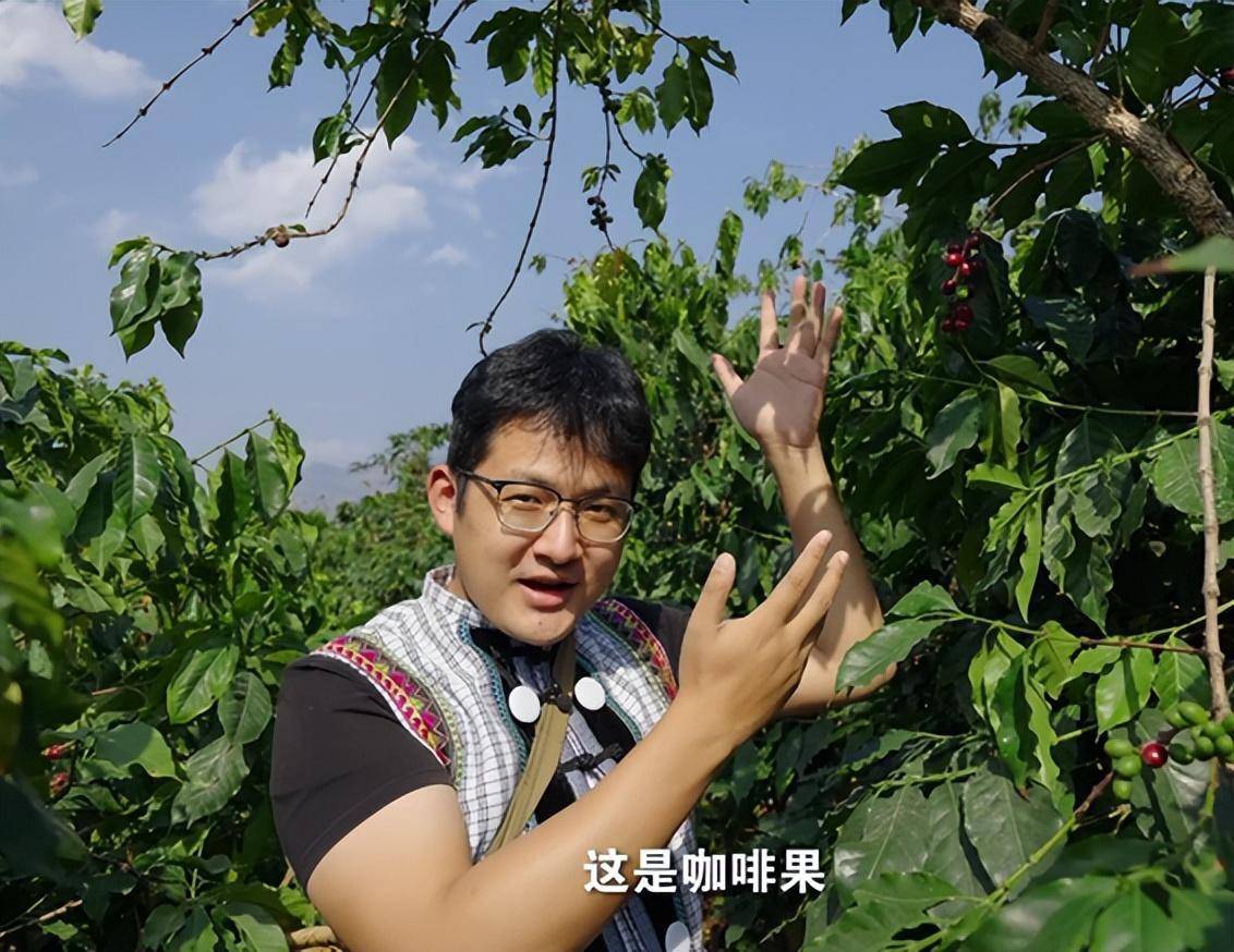 怒江的咖啡豆，亮相陆家嘴金融城国际咖啡文化节_搜狐网