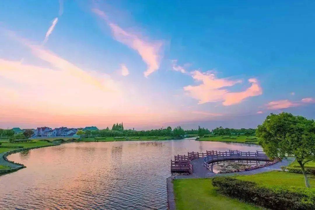 【新镇新貌】聚焦高质量发展,川沙这个村积极做好乡村振兴大文章_连民