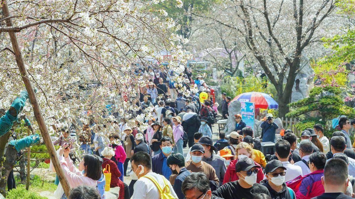 武汉居全国赏花目标地之首，国内赏花景区3月预订增长10倍