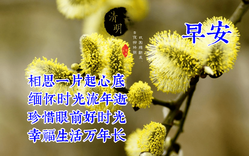 2023清明节早上好动态表情图片大全