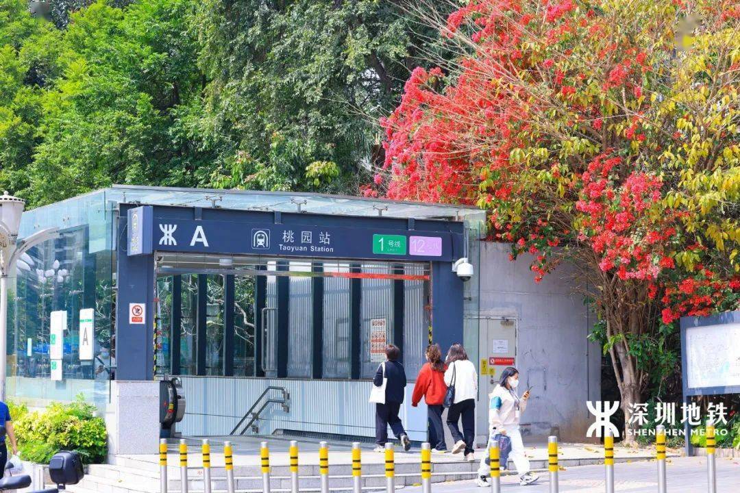 地铁1/2号线桃园站你心目中的深圳宝藏地铁口有哪些呢?