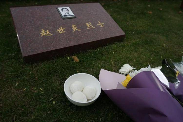 延年乔年:桃花开了,"普通中国青年"又来信了_龙华_桃树_烈士墓