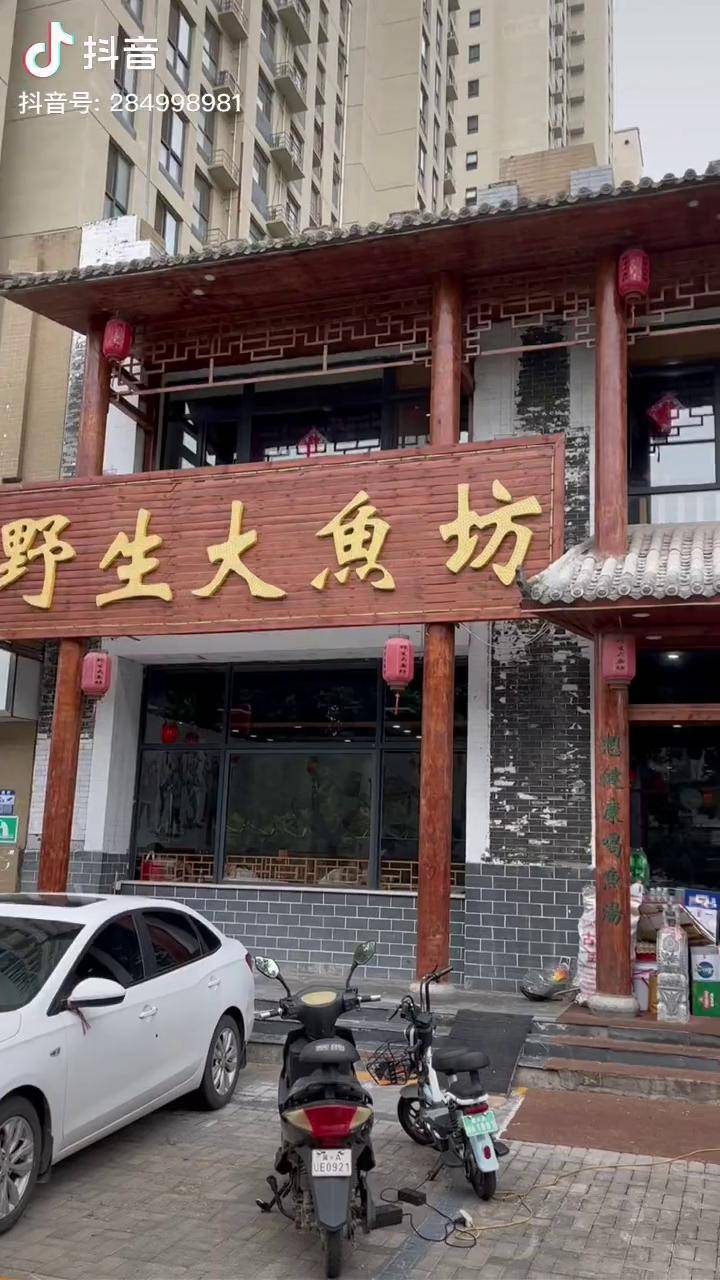 今天在野生大鱼坊花999吃个铁锅炖是真不错食物主义石家庄站 石家庄