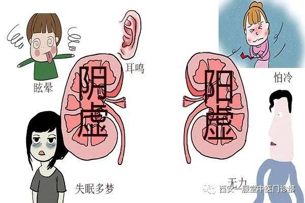 中医科普2349:肺阳虚证的临床表现以及证候分析_西安_白清稀_阳气