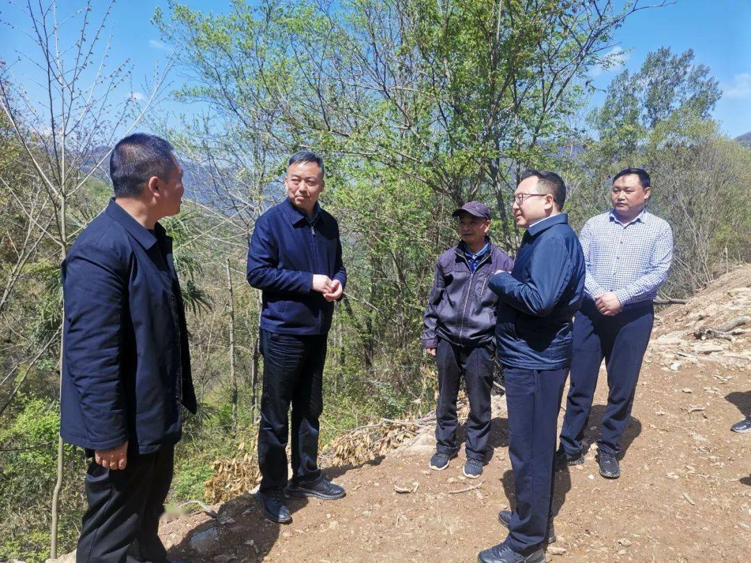 张书怀调研指导脱贫攻坚成果巩固撂荒地整治产业发展等重点工作_帮扶