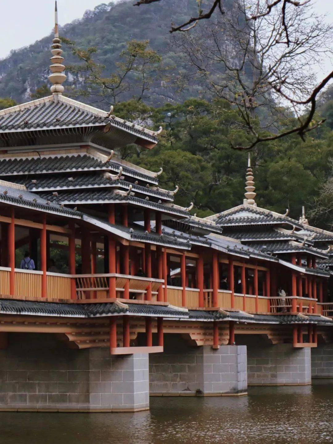 来到最近"爆火"的柳州,你一定要尝试坐一次公交_柳江_紫荆花_公园