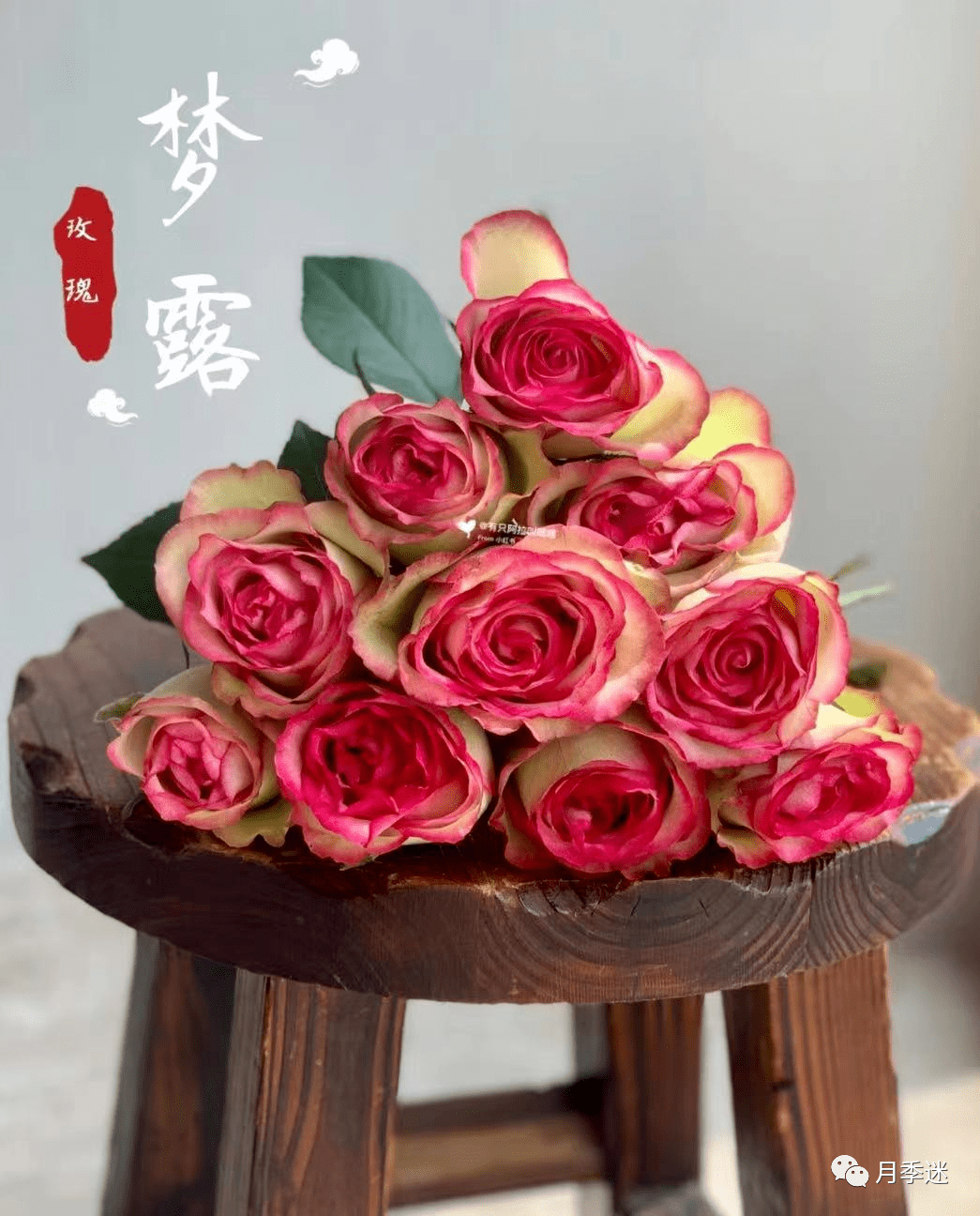 8大网红切花月季图鉴 | 兰蔻御用玫瑰"弗洛伊德"356 实现切花自由