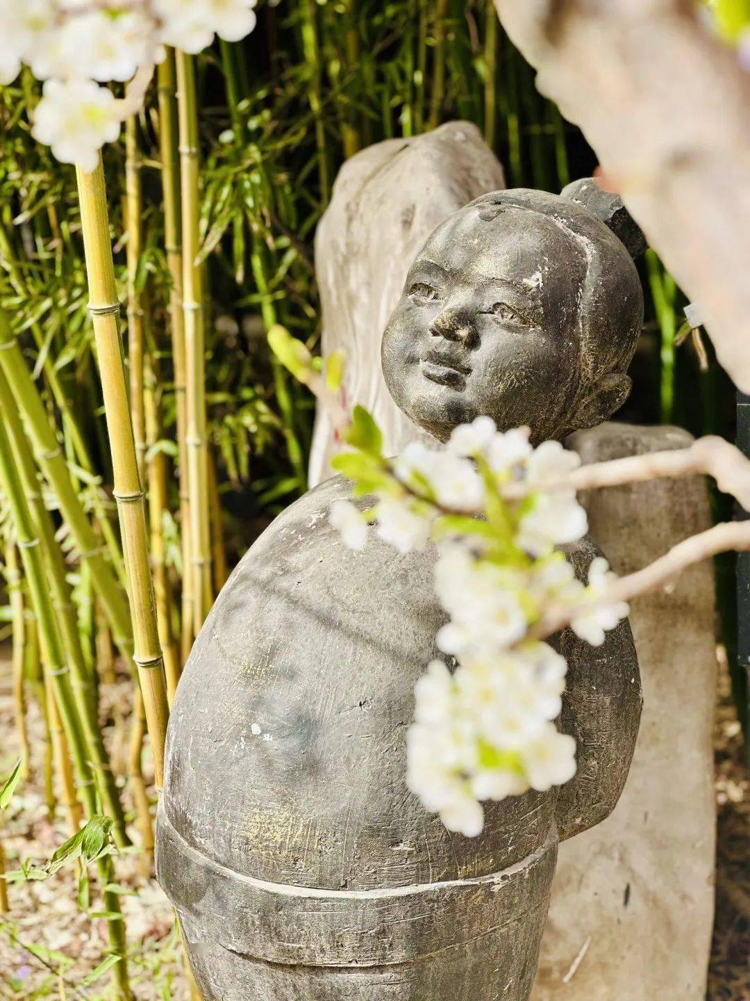 触摸春天,观察春天在春天一起长大摄影:朱宏彬校园春色真是美不胜收快