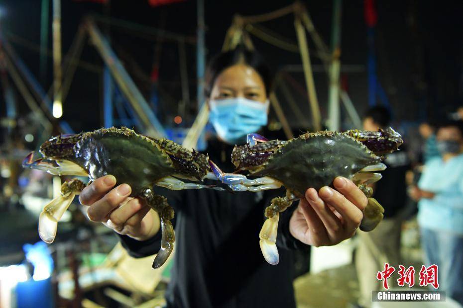 在河北省黄骅市南排河中心渔港,经过"开渔"后一天多的捕鱼作业,出海