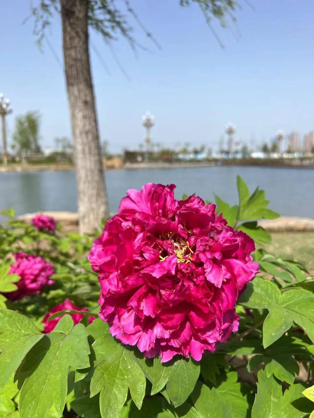 再强调下地址:漯河市交通路最北头,京广铁路下您有没有想说的?