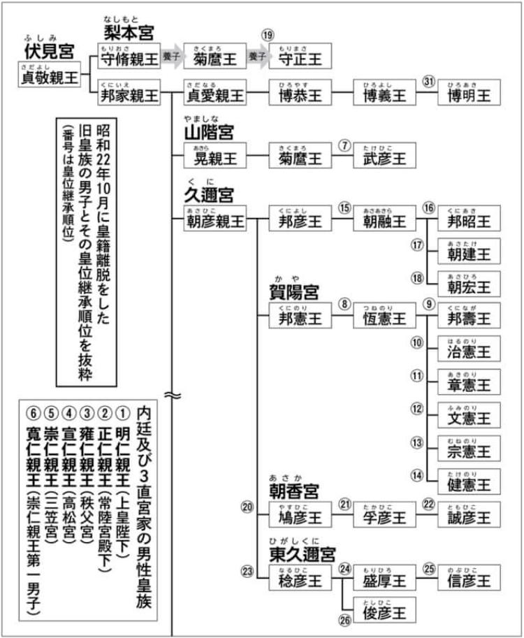 爱子公主最新驸马人选出炉！东大结业的“花道王子”，既帅气又多金？