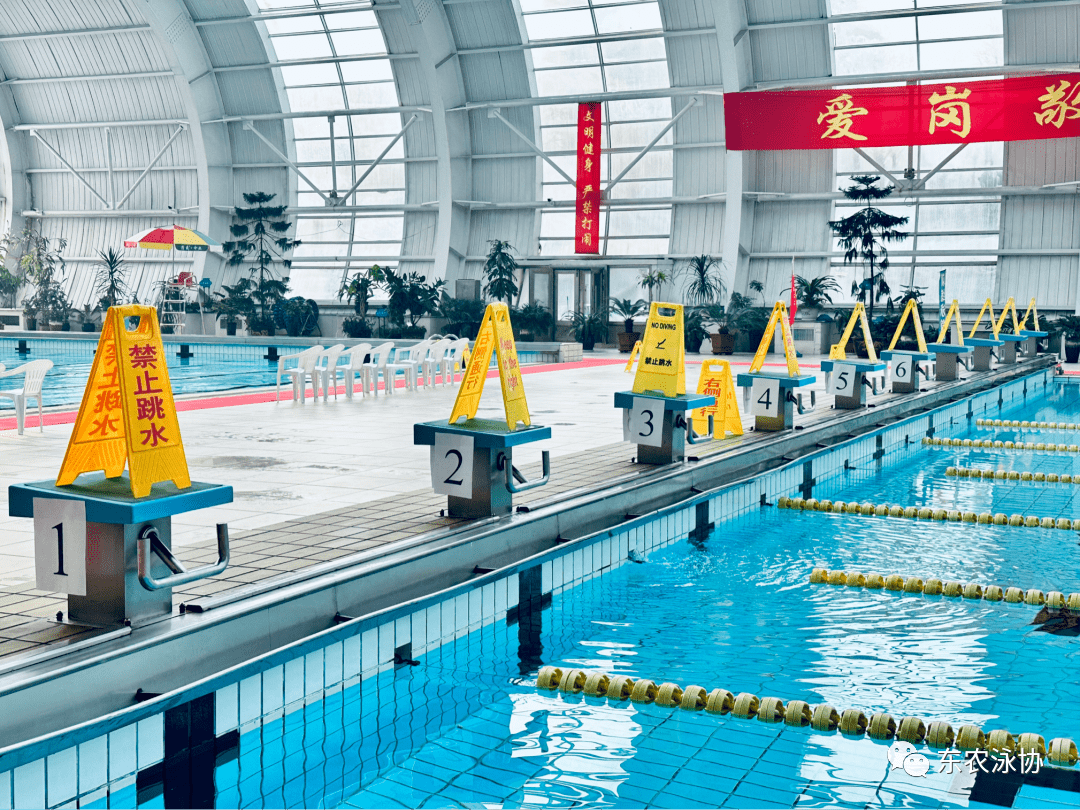2023年东北农业大学游泳校赛成绩公报_余林奚_刘鑫_张睿萱