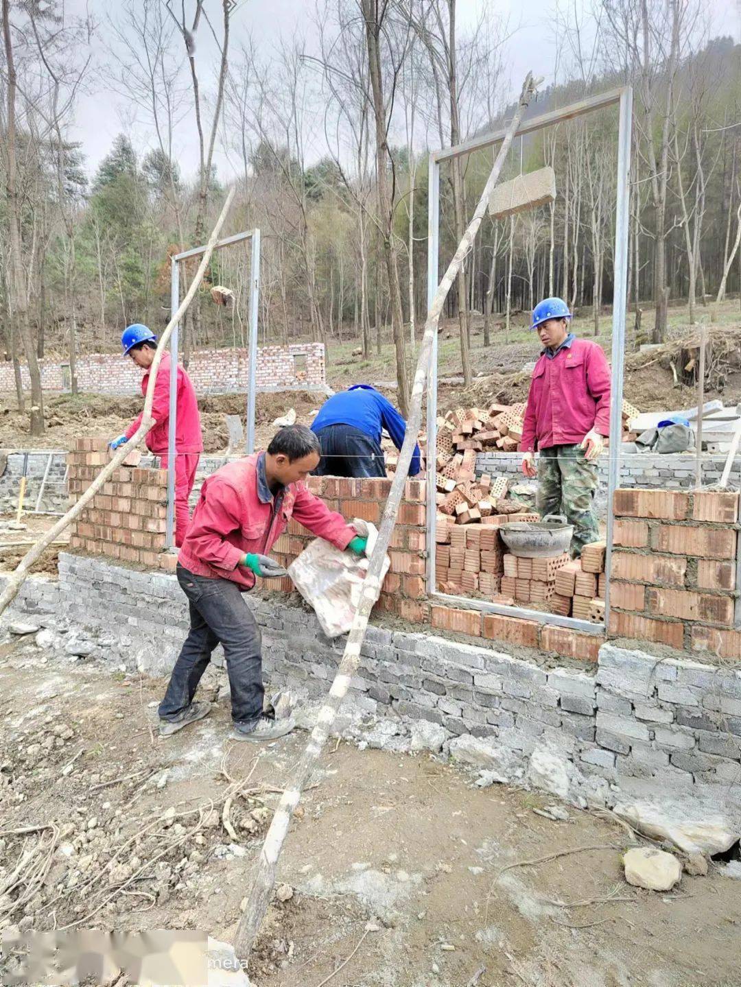 与凤县平安民爆服务有限责任公司村企合作共赢首创林麝林下养殖新