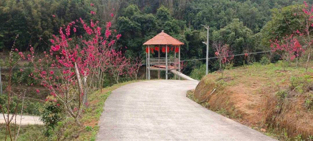 你好,我叫泗纶镇,请多多关照!_罗定市_蒸笼_广东省