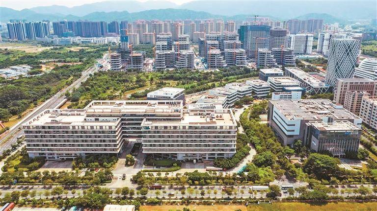 坪山：以高质量党建引领高质量发展