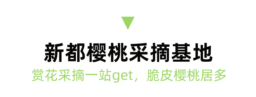 2023成都周边最全恩桃儿采摘地图出炉，6条线路保藏！