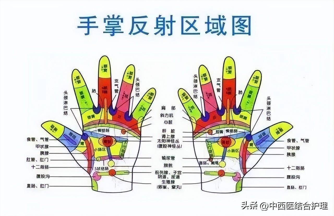 手掌按摩图解手法自己图片