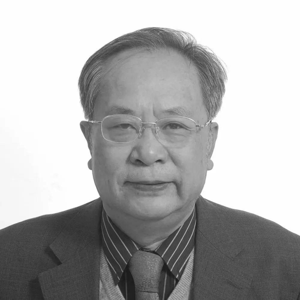 69岁地理学者,国科大教授王铮病逝,致力于发展政策模拟_中国科学院