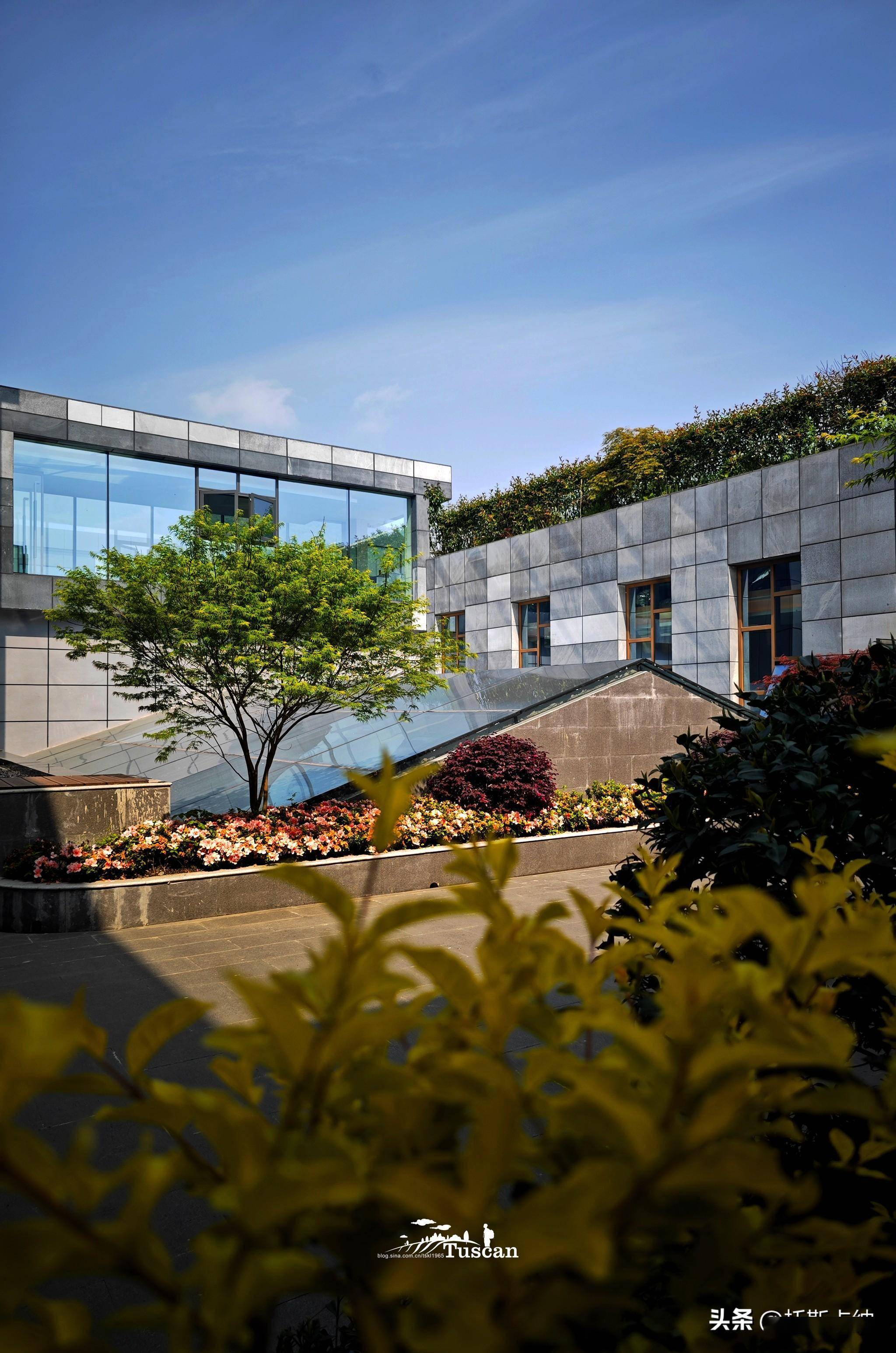 花开成都 | 成都青城山花间堂·山澄清,山脚下的惬意避世情怀_都江堰