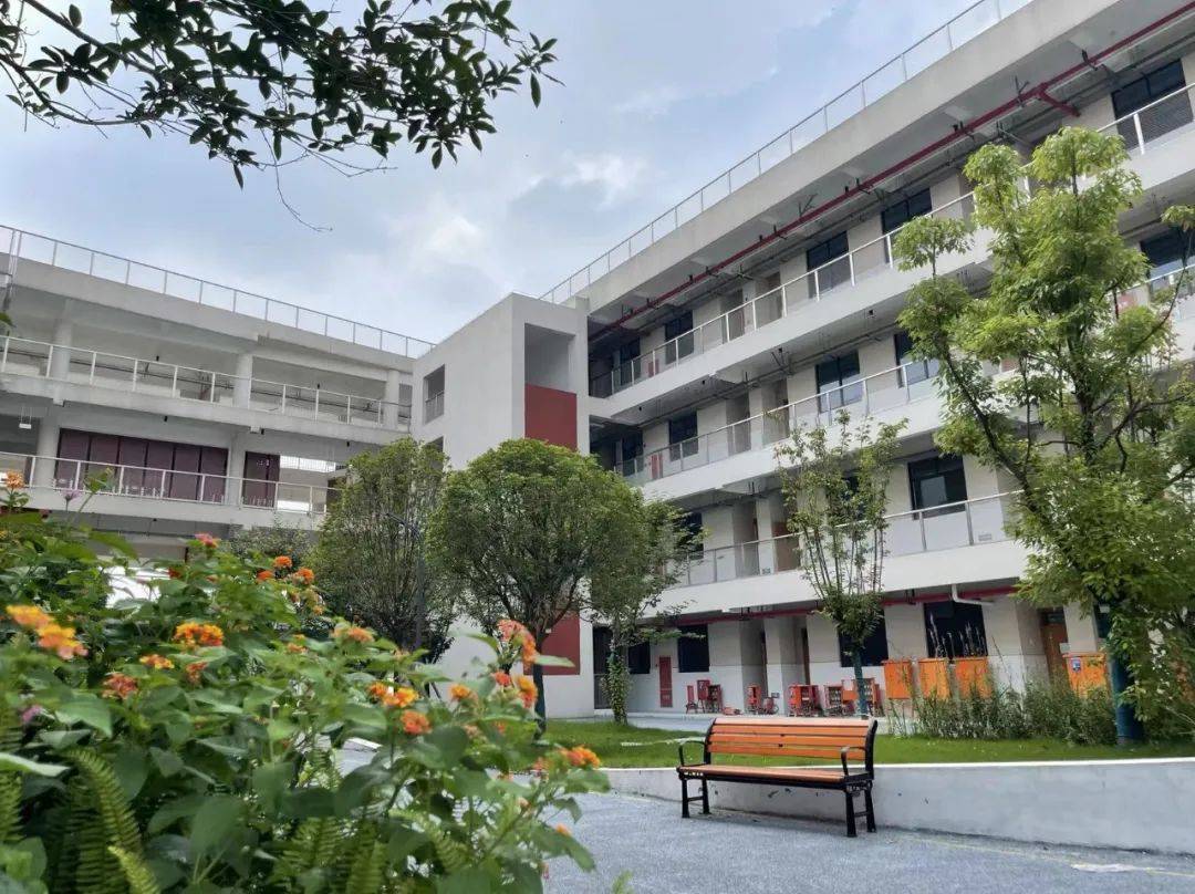 成都市树德实验中学2023年招聘储备教师_教育_办学_四川