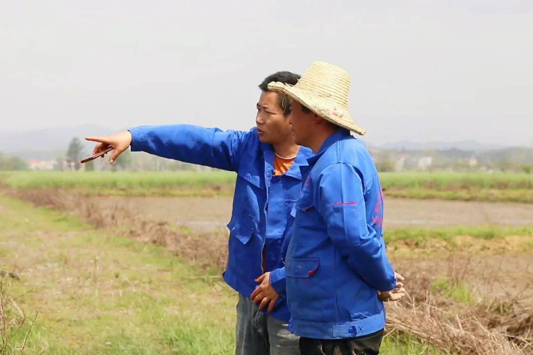 永新:"田管家"机械化服务 让农民种地零风险_永新县_全程_芦溪乡