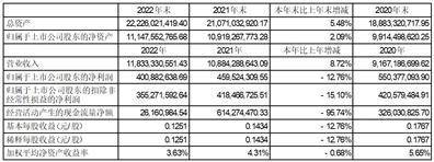 东华软件股份公司2022年度陈述摘要