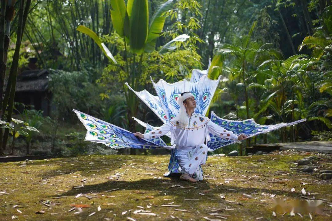 火爆全网的德宏傣族架子孔雀舞来啦~_芒市_文化_公众