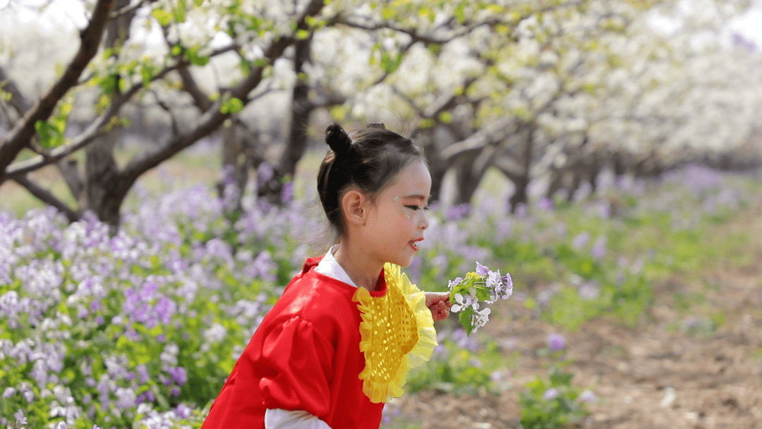 蠡县梨花节图片