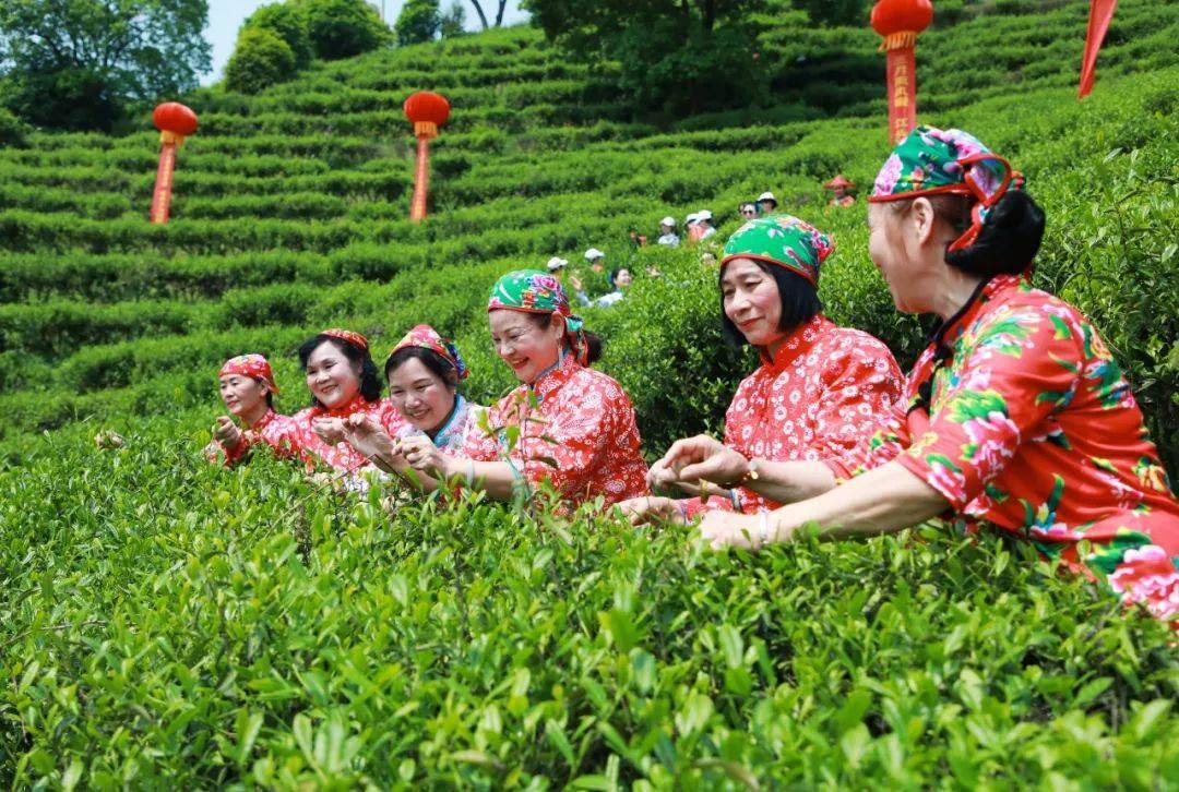 2023年耒阳市乡村文化旅游节之首届江头贡茶文化节隆重开幕!