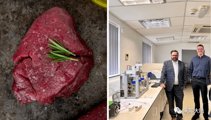 这家位于英国剑桥的公司使用3d打印来制作人造肉