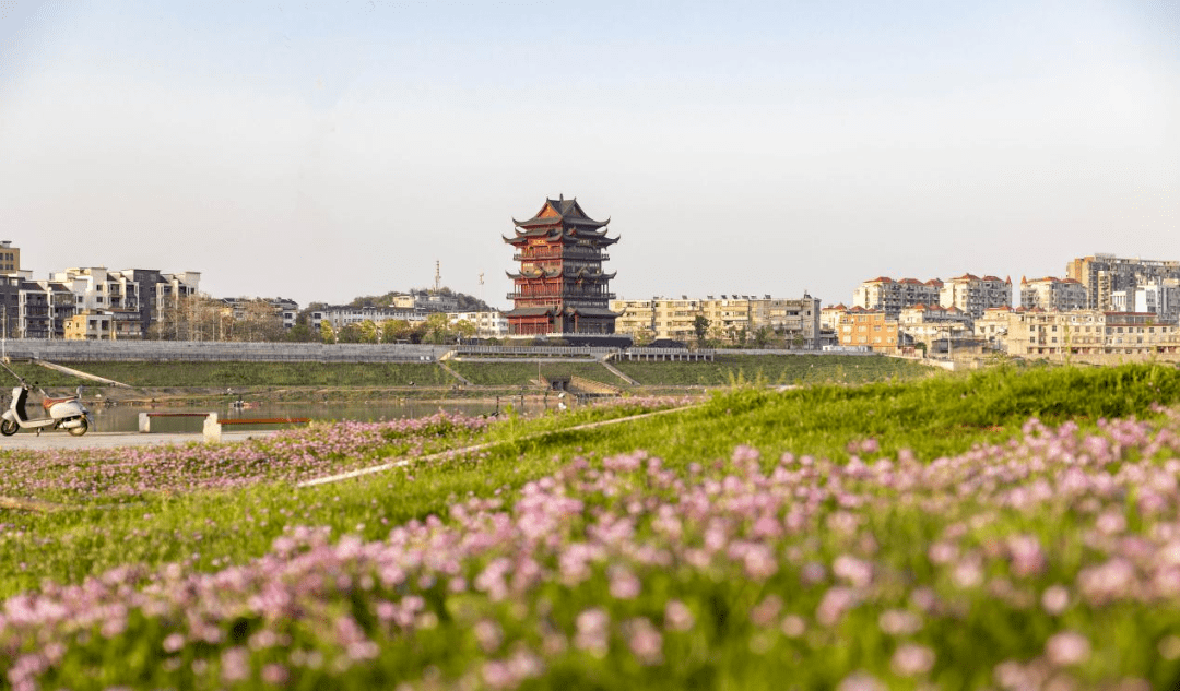 乐平又一免费风景打卡地,我不说你知道是哪里么?_紫云英_沙滩_在线