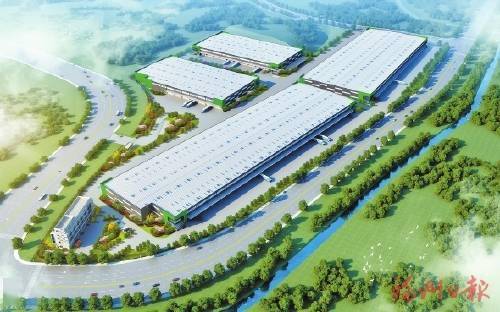 三木集团涨停分析:政策利好与资金推动双轮驱动