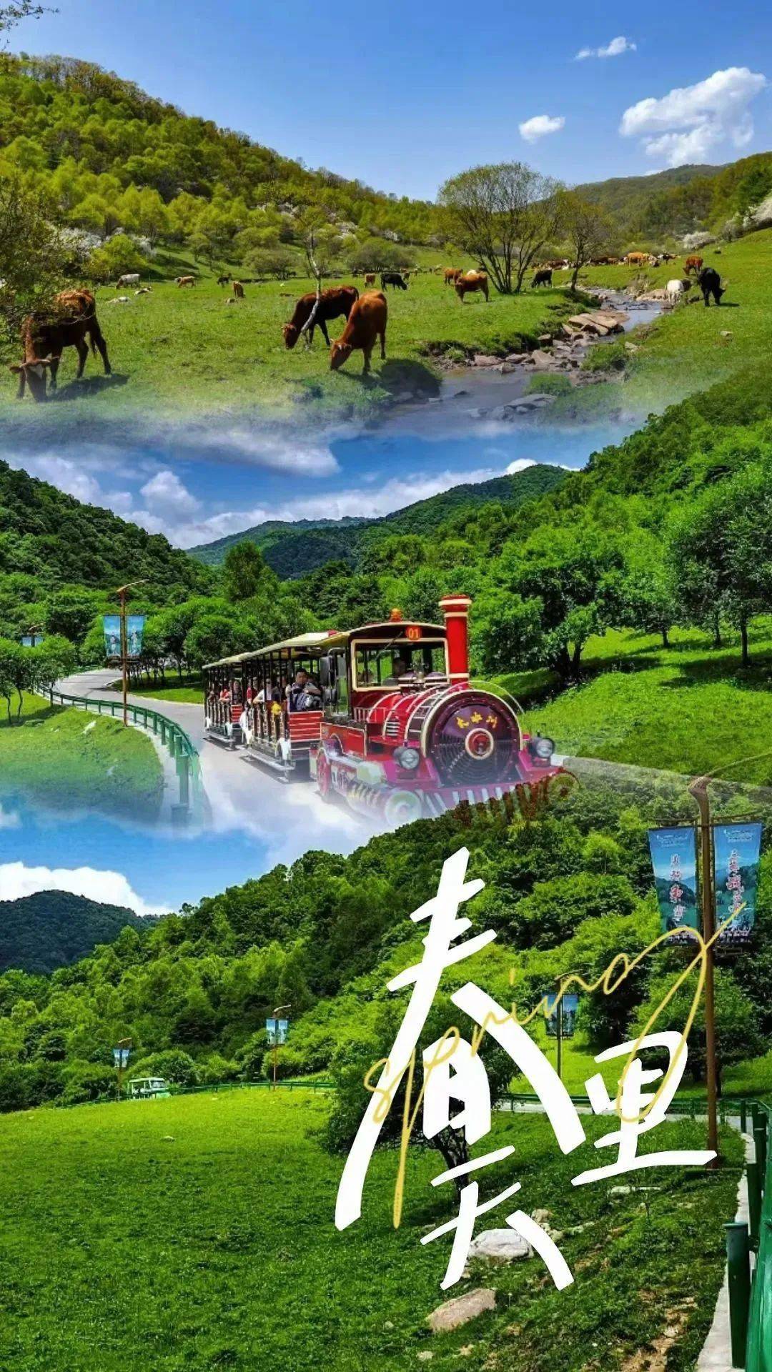 寶雞這些景區限時免票,半價活動即將截止!_陽光_文化_九龍山